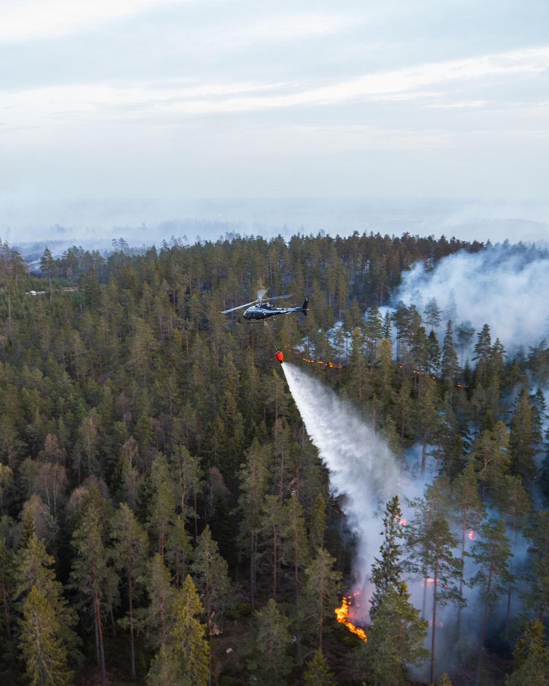 Helikopter som släcker bränder