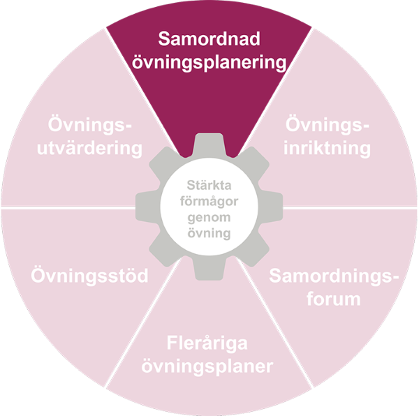 Cirkel uppdelad i tårtbitar. Tårtbiten Samordnad övningsplanering är markerad.