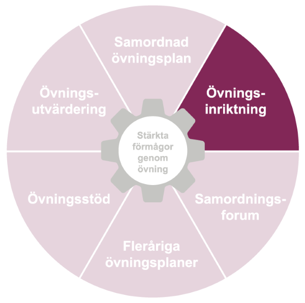 En cirkel uppdelad i tårtbitar.Tårtbiten Övningsinriktning är markerad.