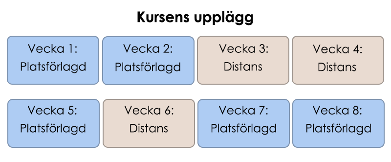 Kursupplägg Insatsledare