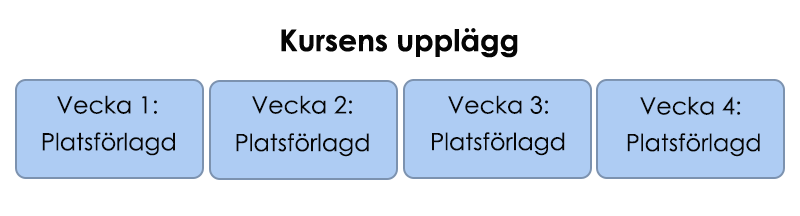 Kursupplägg Regional insatsledare