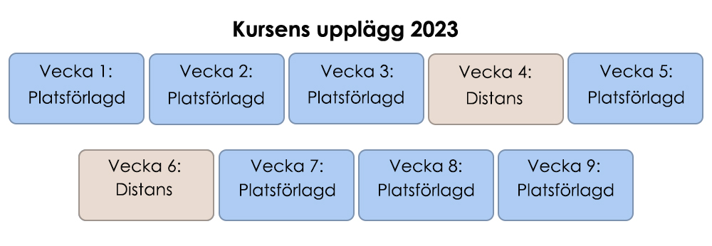 Kursupplägg Styrkeledare 2023